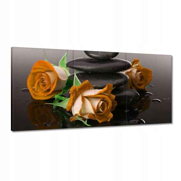 Obrazy 120x60 Oranžové růže Spa