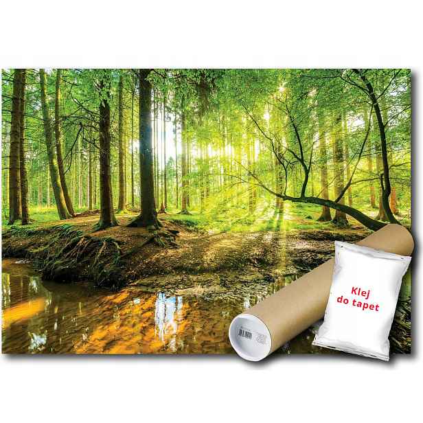 Vinylová fototapeta Les Slunce Výhled 152x104