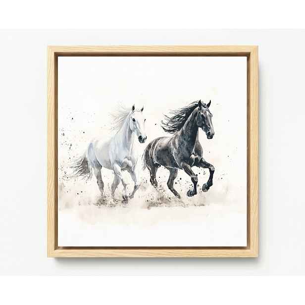 Obraz Rám Americký Box Akvarel Kůň Koně Bílý Černý Cval 60x60