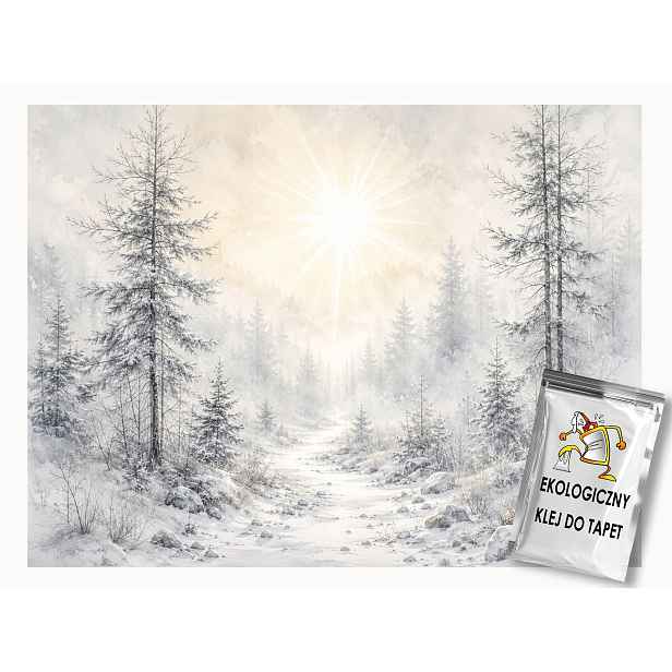 Vliesová fototapeta Les Cesta Zima Mrazík Sníh Slunce 208x146 130g