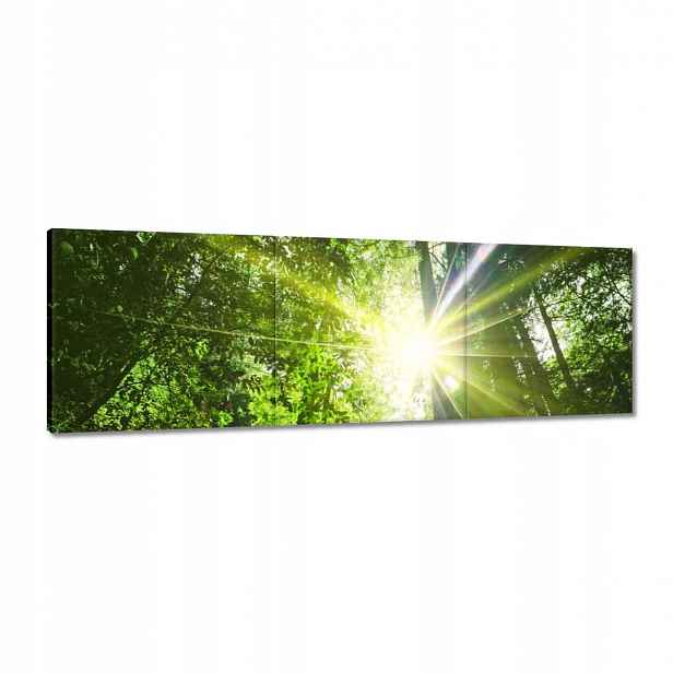 Obrazy 120x40 Kouzelný les Krajina