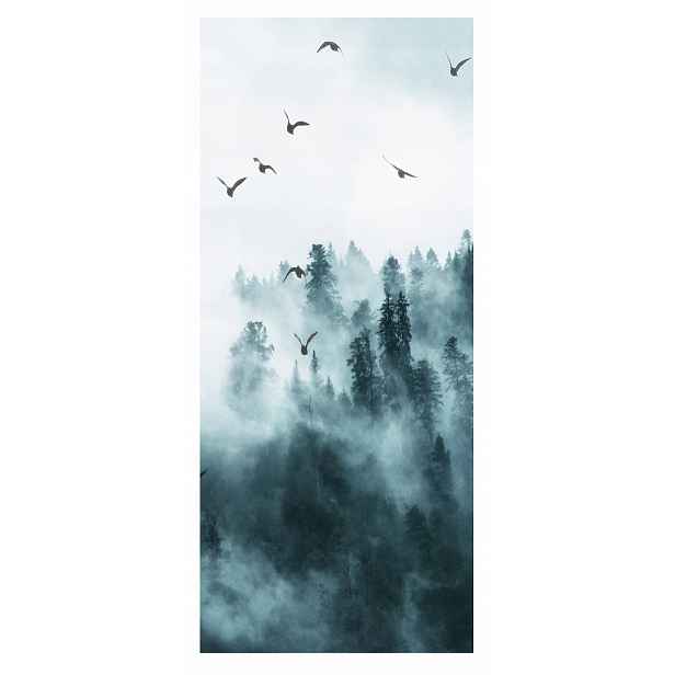 Fototapeta samolepicí dýha na dveře, samolepka