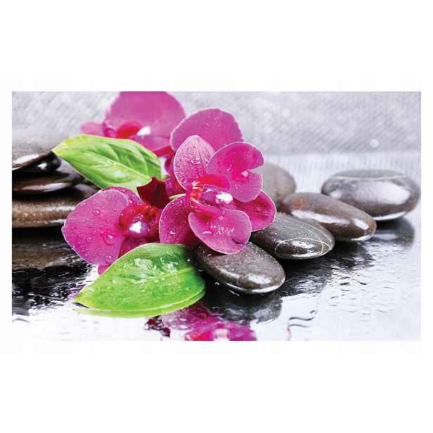 Fototapeta Růžové orchideje Kameny Rosa 254x184 vinylová lepidlo