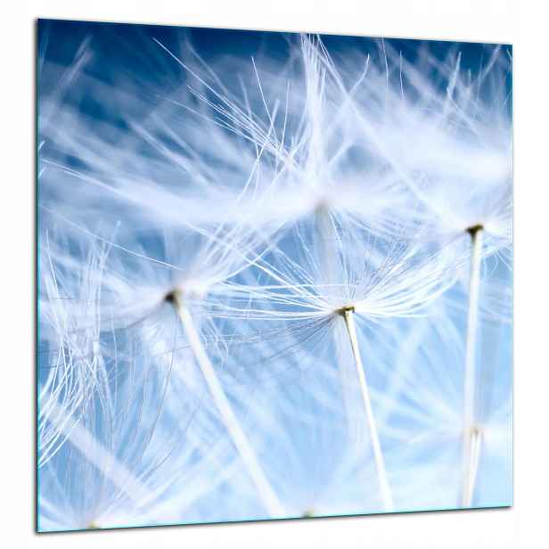 Skleněná Ochranná Deska Panel Lepidlo 60x65 Květiny