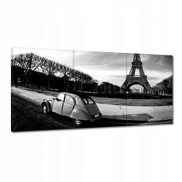 Obrazy 120x60 Černobílá fotografie