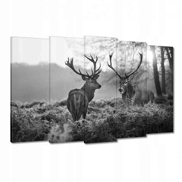 Obrazy 150x95 Černobílí jeleni