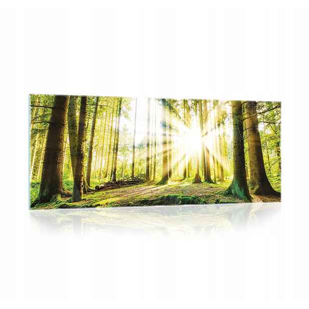 Skleněný obraz na skle Les Příroda Krajina 125x50