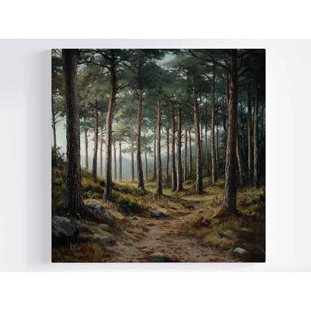 Obraz Na Plátně Canvas Krajina Venkovní Les Stromy Cesta Stezka Pohled 50x50