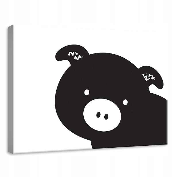 Obraz 70x50 Prase, černobílé zvíře, minimalismus, roztomilé, jednoduché