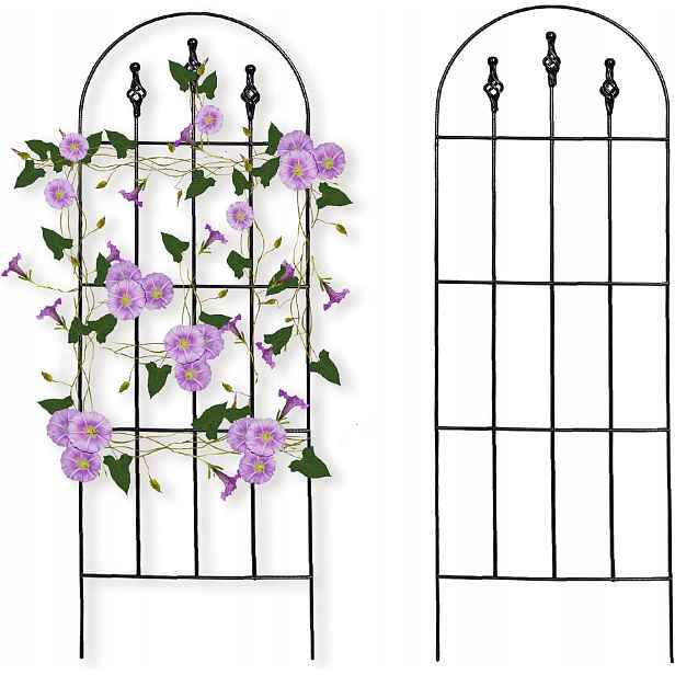 Sada 2 kusů Pergola Kovová podpěra pro rostliny Zahradní žebřík 120 cm