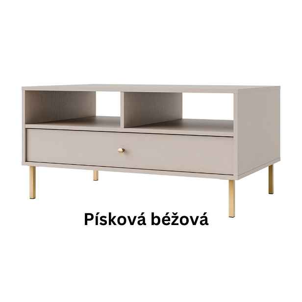 Konferenční stůl STRAKOŠ 201 TOK 2 1S