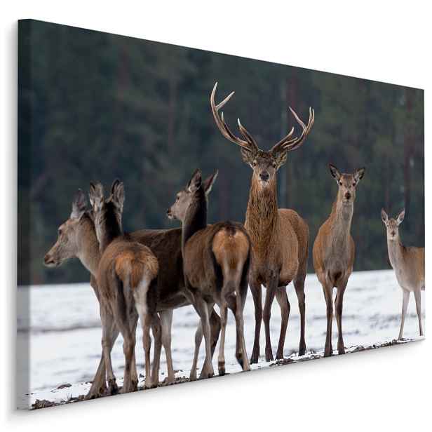 MyBestHome BOX Plátno Jelen A Laňe Varianta: 70x50