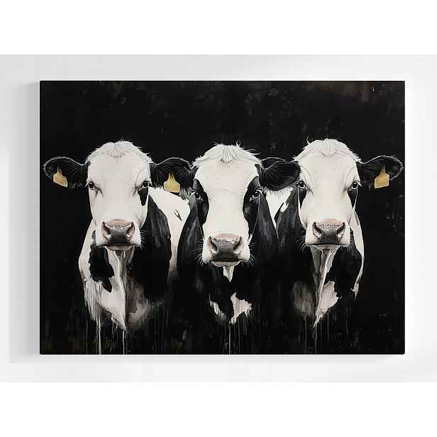 Obraz Na Plátně Canvas Tři Krávy Černobílá Zvířata Farma 80x60