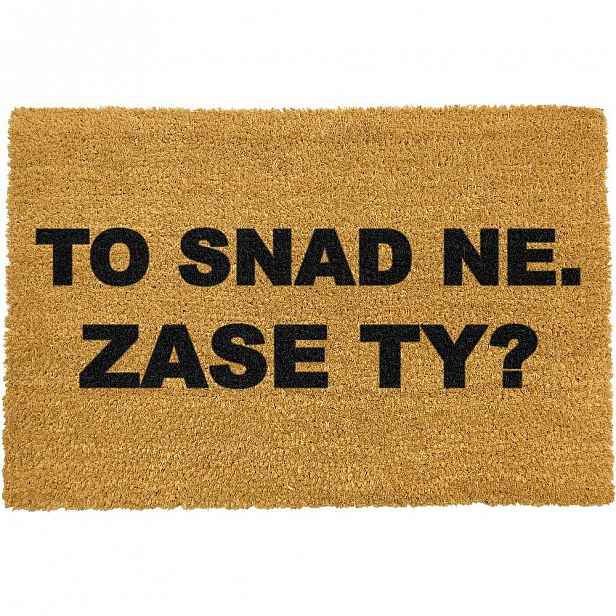 Rohožka z přírodního kokosového vlákna Artsy Doormats Zase ty?, 40 x 60 cm