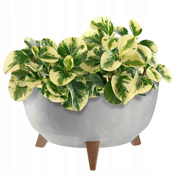 Květináč Květináč 40cm Obal S Vkladem Nohy Zátka Záhon Šedý