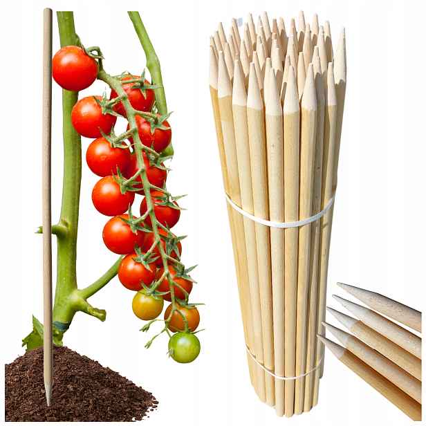 Dřevěné palice na rajčata 78 cm x 50 kusů Sloupky na květiny keřů