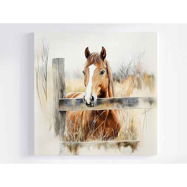 Obraz Na Plátně Canvas Příroda Zvíře Kůň Kaštan Louka Rančo Pole 50x50