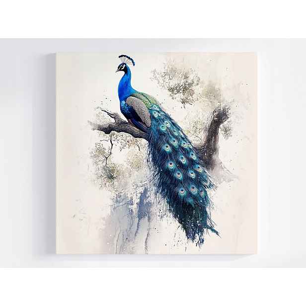 Obraz Na Plátně Canvas Grafika Příroda Pták Modrý Páv Pera 50x50
