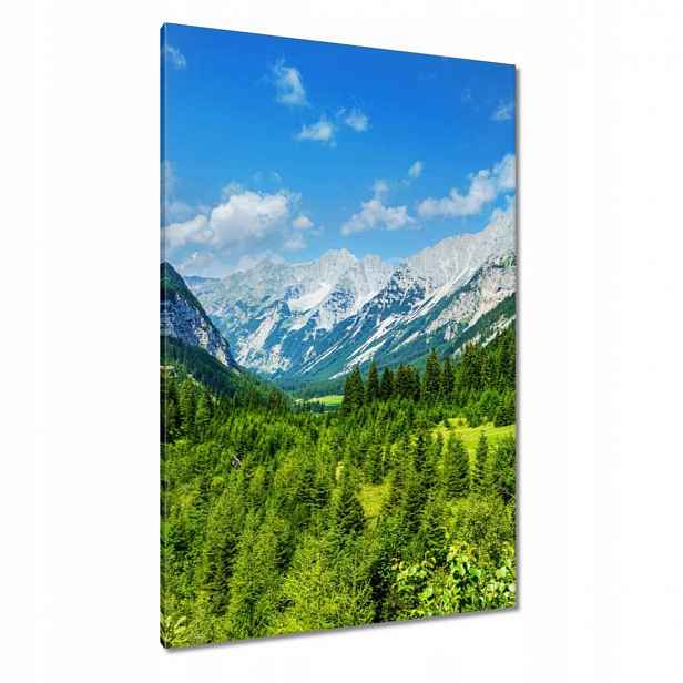 Obrazy 80x120 Horská krajina s krásnými mraky Stromy v horách