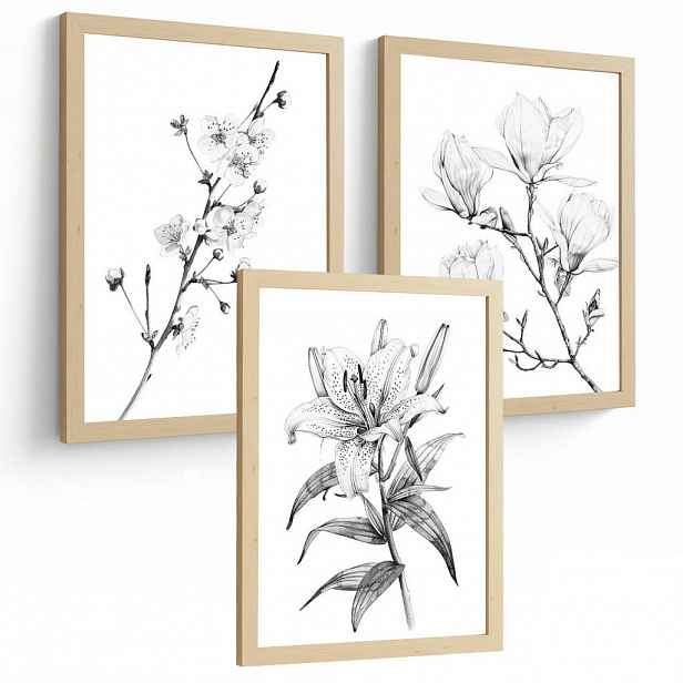 PLAKAT Sada 3 obrázků květin. Dekorativní nástěnné tisky Květiny tužkou. botanický plakát na zeď. Noridco květinové malby.Velikost A4 bez rámu