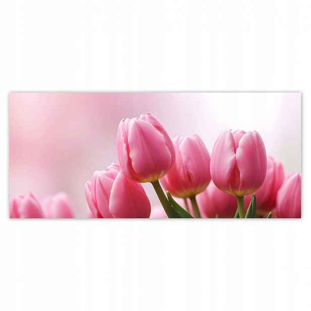 Fototapety 211x91 Růžové tulipány