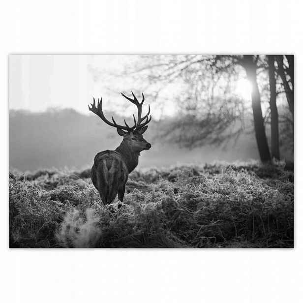 Fototapety flizelina 152x104 Jelen na řevu