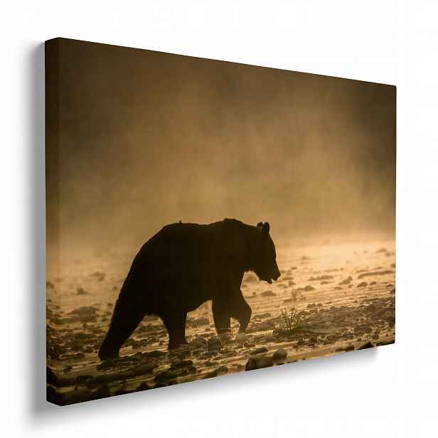 Obraz do domu Medvěd plátno premium ideální dárek 70x50 cm