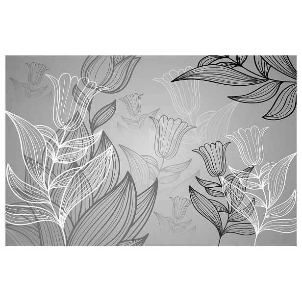 Fototapeta Tulipány Šedá grafika moderní minimalismus 368x254 lepidlo