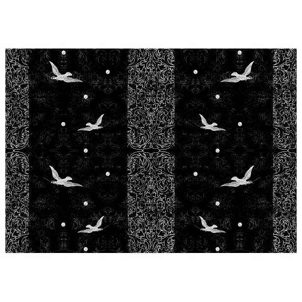 Fototapeta Černí ptáci v letu abstrakce 254x184 do obývacího pokoje lepidlo