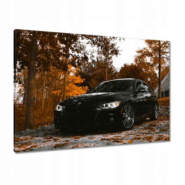Obrazy 100x70 Černé Bmw Podzim