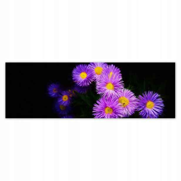 Plakáty 200x66 Fialové květy aster