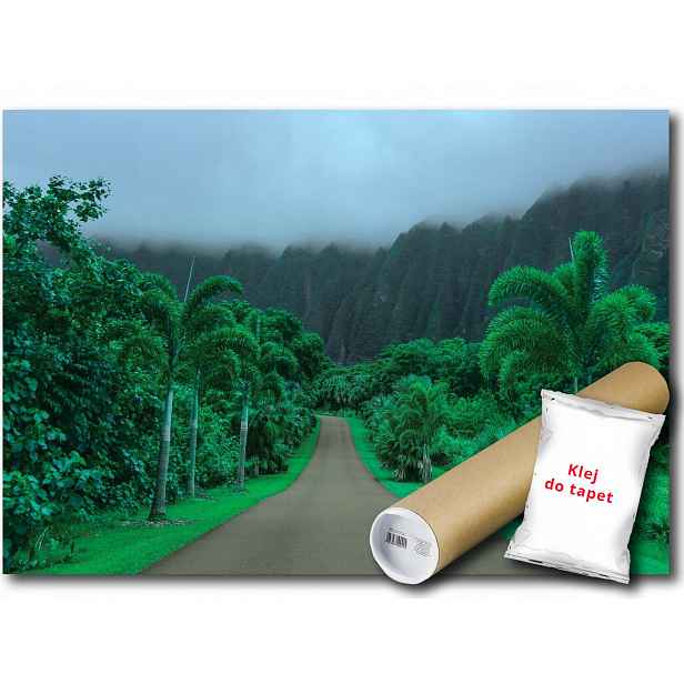 Fototapeta Flizelina Džungle Palmy Cesta 312x219