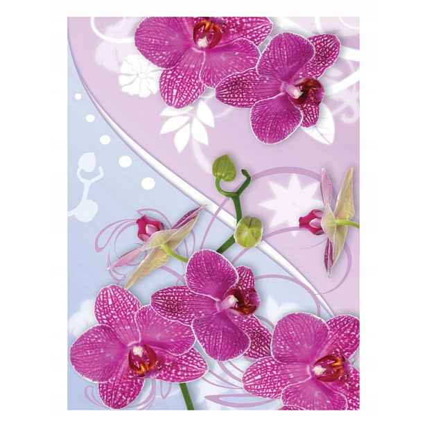 Fototapeta Orchideje růžovo-fialové do obývacího pokoje a ložnice 206x275 lepidlo