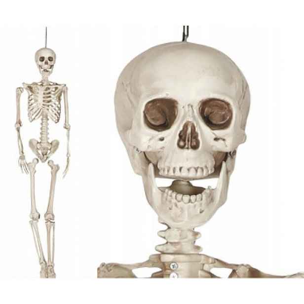 Lidská kostra 160 cm Halloween kostlivec dekorace pohyblivé klouby