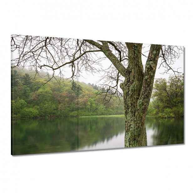 Obrazy 120x80 Strom Řeka Les