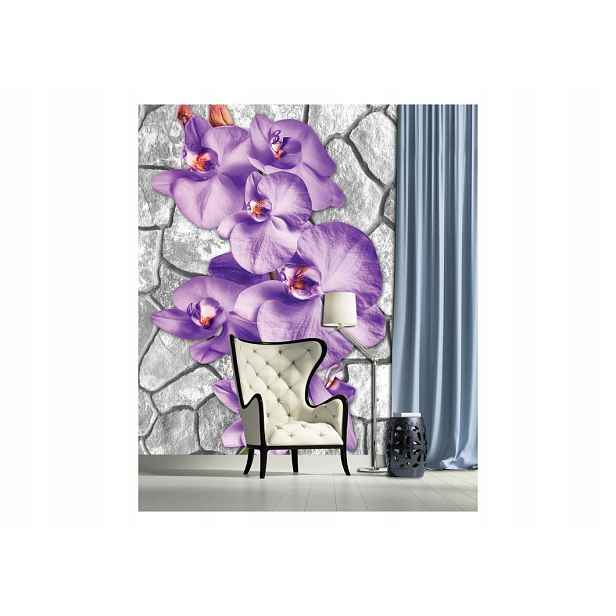 Fototapeta Orchideje fialová na šedém kameni 184x254 vinylová lepidlo