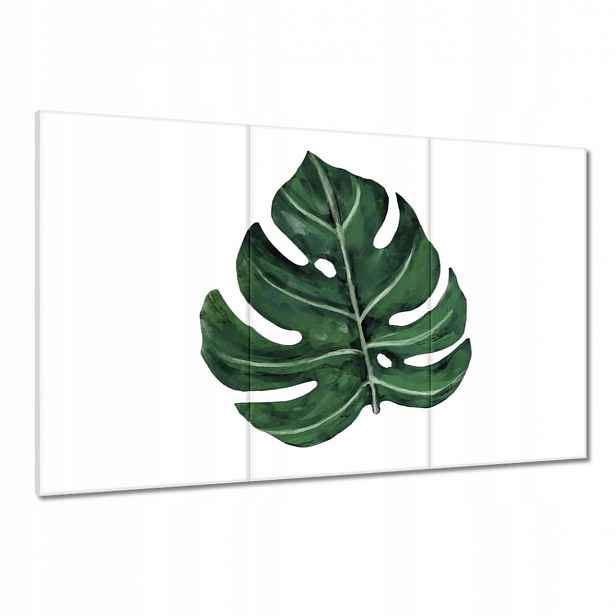 Obrazy 120x80 Monstera Zelený list