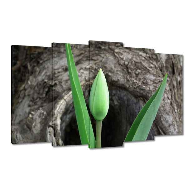 Obrazy 100x60 Zelený tulipán