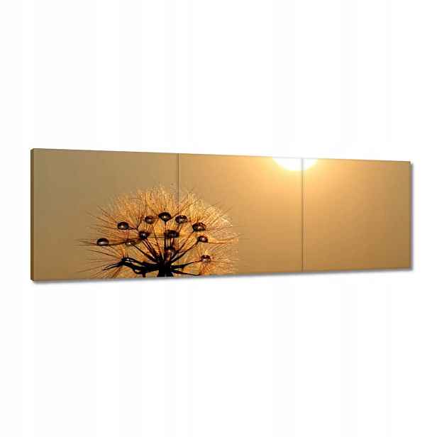 Obrazy 120x40 Pampeliška Květ Květiny