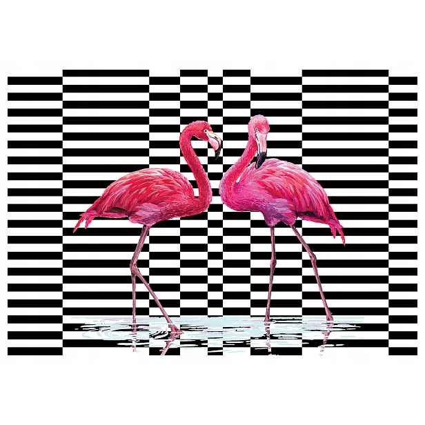 Fototapeta Plameňáci geometrie a pruhy růžová elegance 350x250 lepidlo