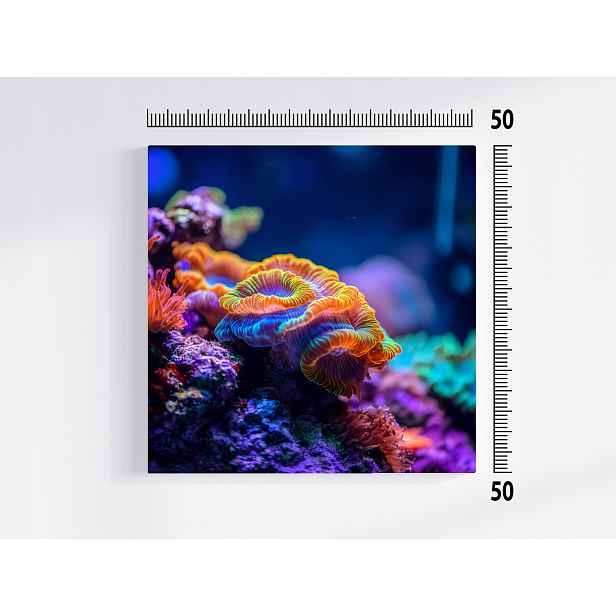 Obraz Na Plátně Canvas Voda Útes Fauna Korál Příroda 50x50