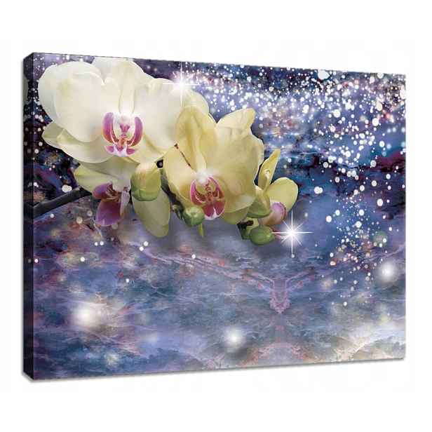 Obraz 80x60 Orchidej květina jemnost elegance fialová bílá umění