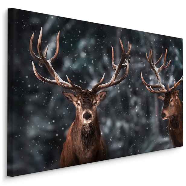 MyBestHome BOX Plátno Dva Velkolepí Jeleni Varianta: 40x30