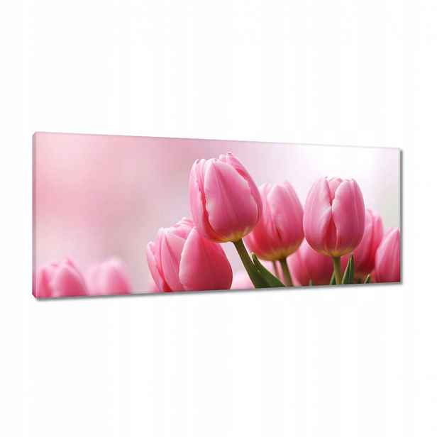 Obrazy 100x40 Růžové tulipány