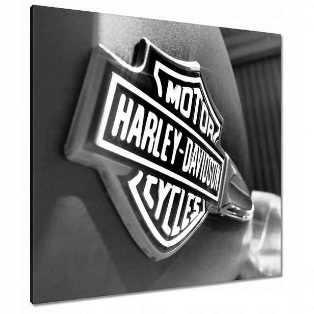 Obrazy 90x90 Logo Harley Davidson