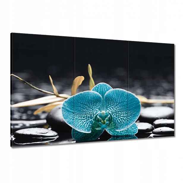 Obrazy 120x80 Tyrkysový orchidej Květina