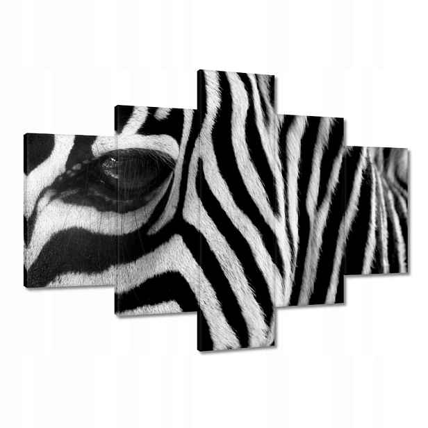Obrazy 100x70 Černobílé pruhy Zebra