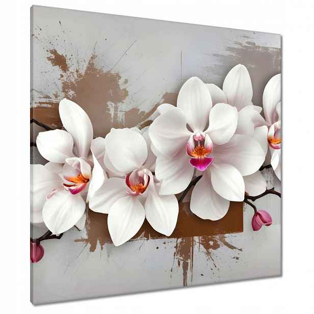 Obrazy 80x80 Bílá orchidej