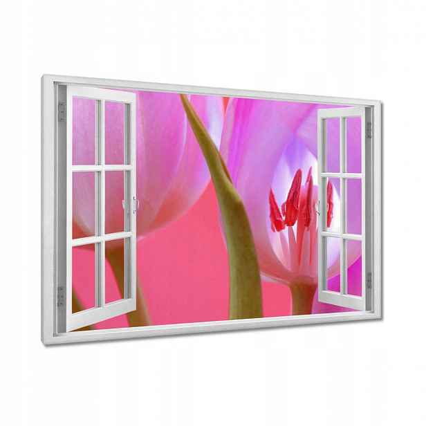 Obrazy 120x80 Růžový tulipán