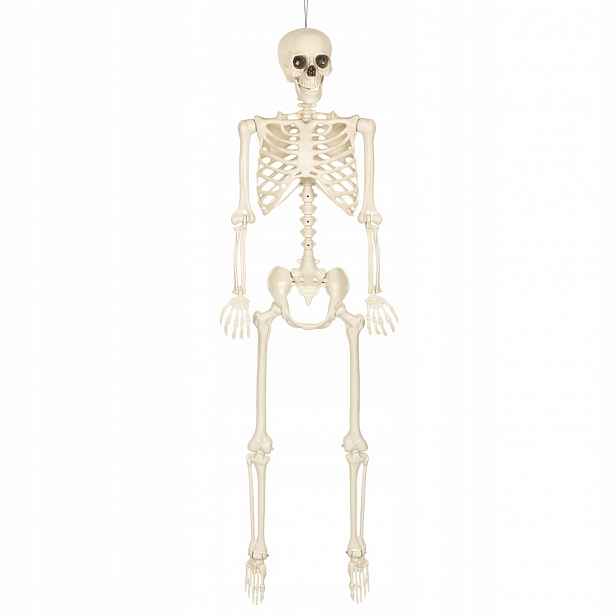 Dekorace skeleton na pověšení 160 cm